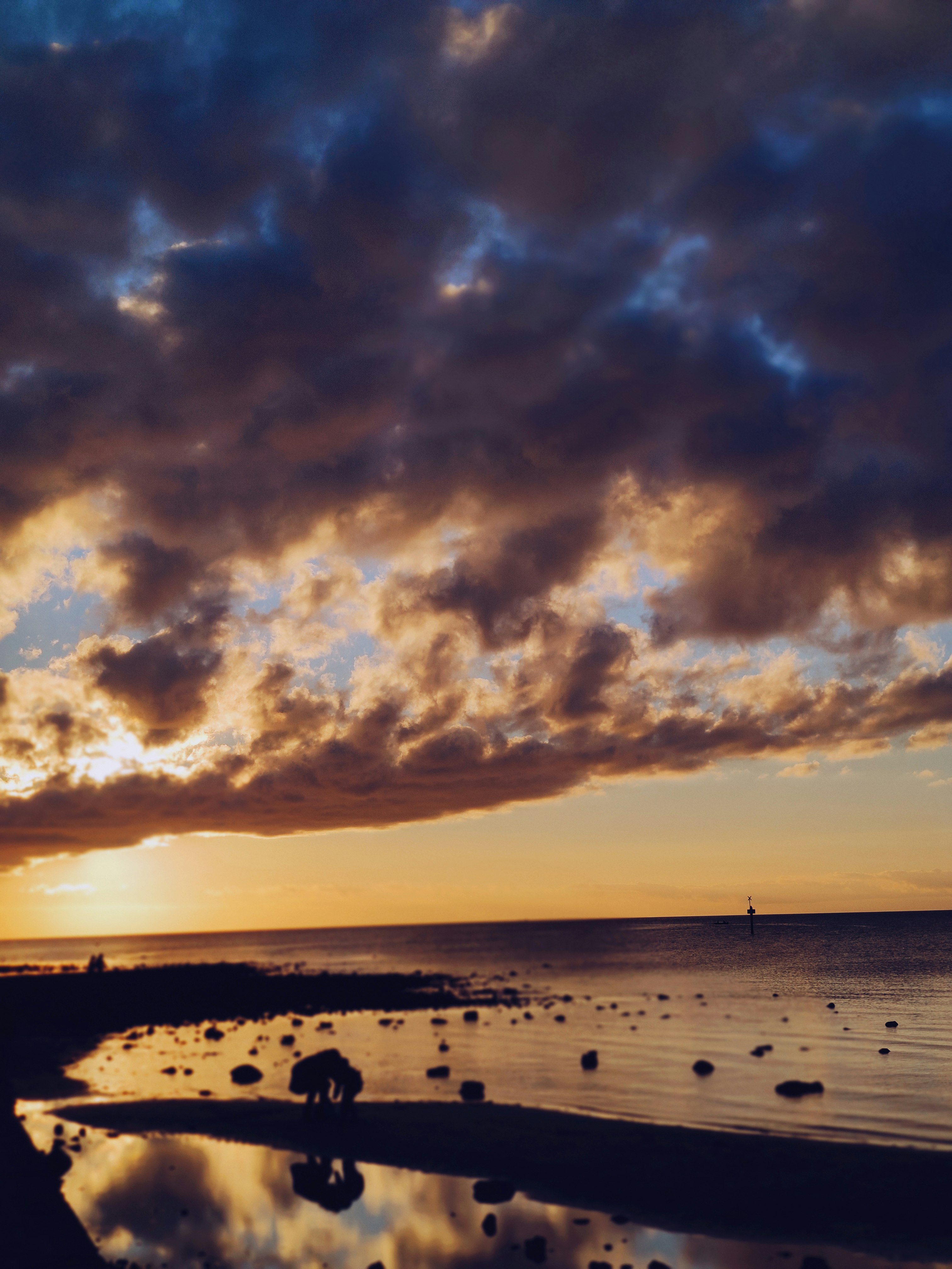 people on beach during sunset